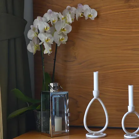 Apartamento New Chill And Go Budva